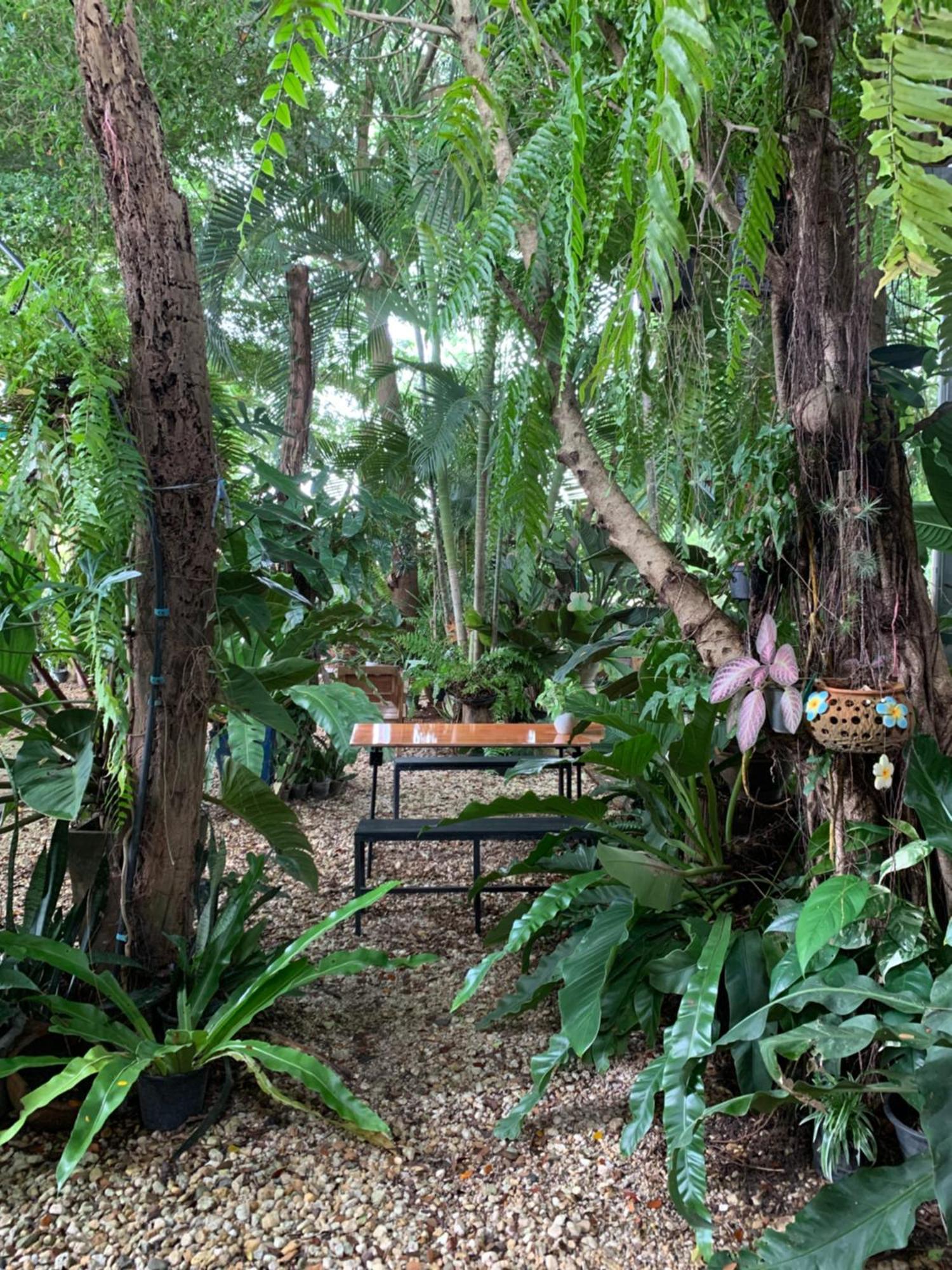 Baan Suan Duang Porn Resort Ban Phae  Exterior photo